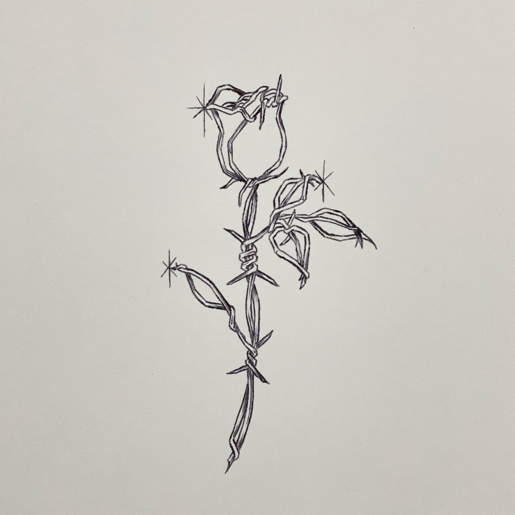 Barbed Wire Rose ballpoint pen drawing by Kane Navasard