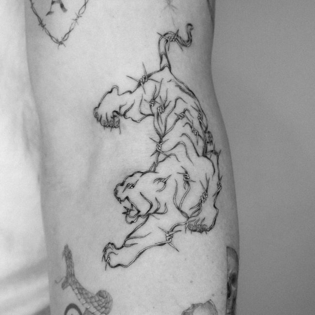 Single Needle Barbed Wire Tiger Tattoo
