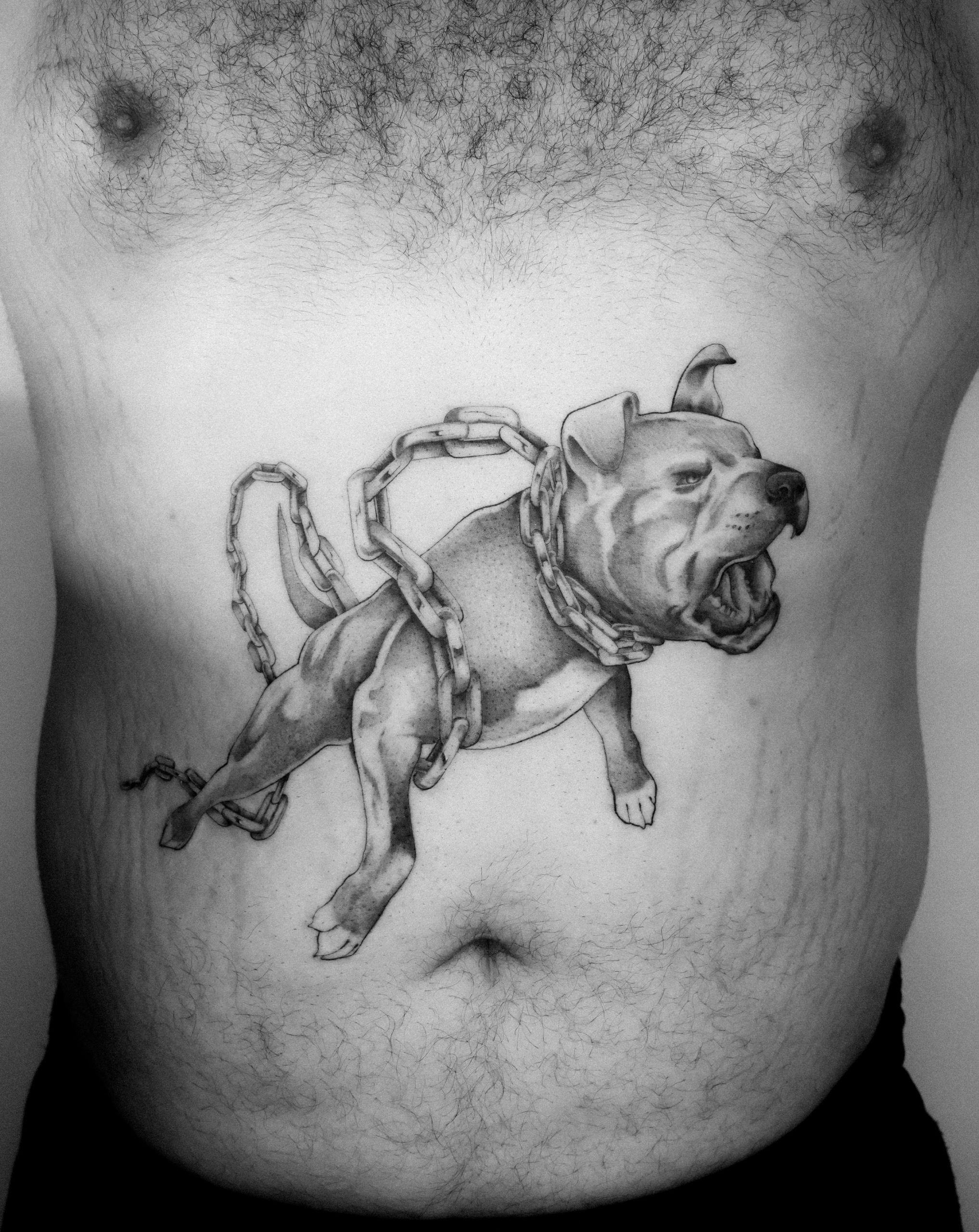 Fine line pitbull tattoo by Kane Navasard done in Whittier